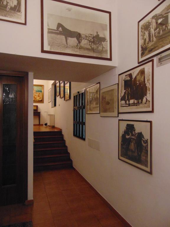 Hotel Calla' Policoro Ngoại thất bức ảnh