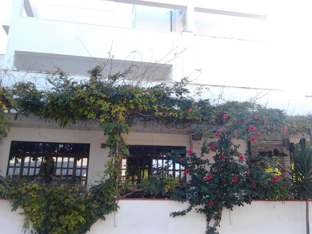 Hotel Calla' Policoro Ngoại thất bức ảnh